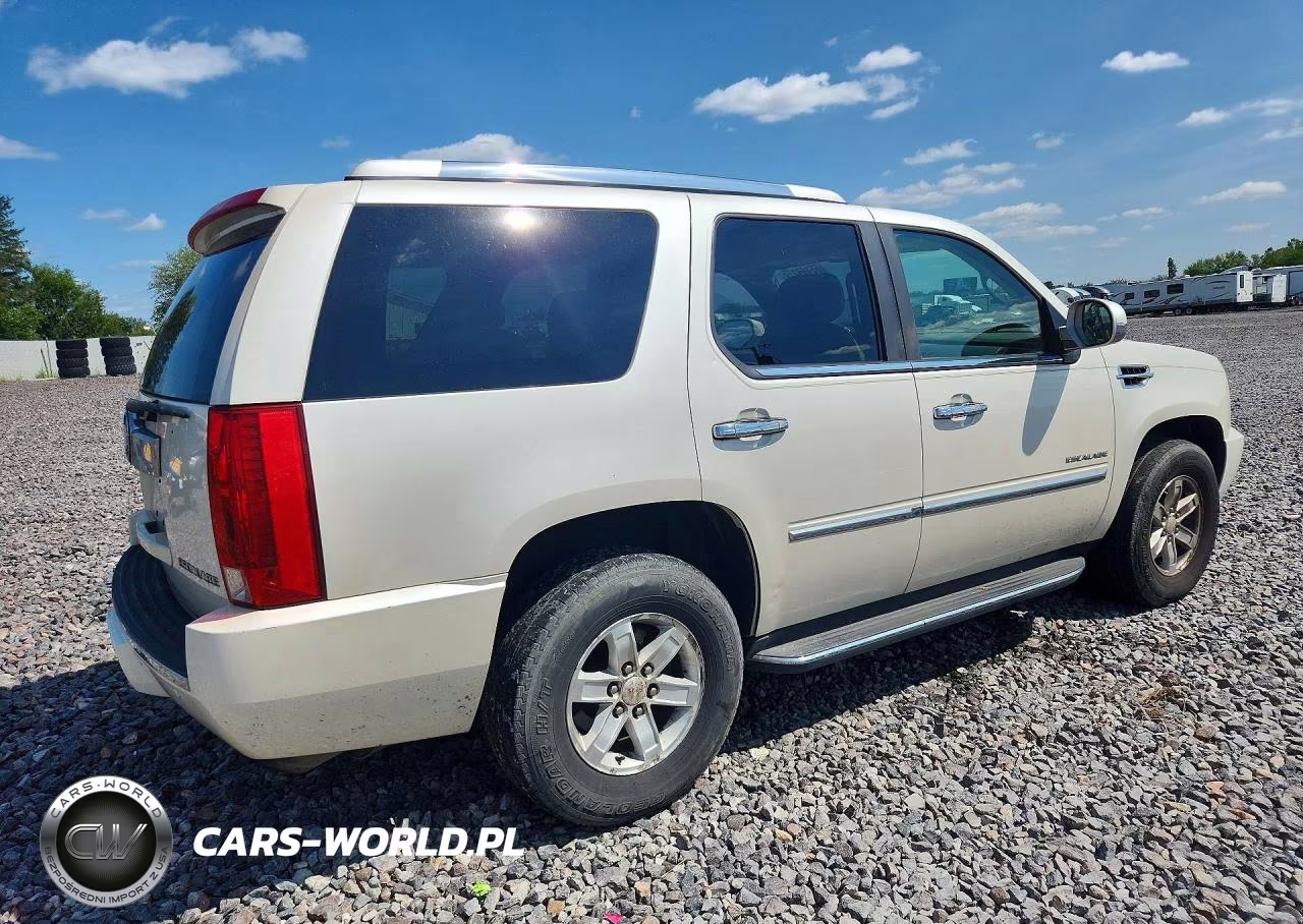 2010 Cadillac Escalade Luxury VIN:1GYUKBEF7AR212177 - 3