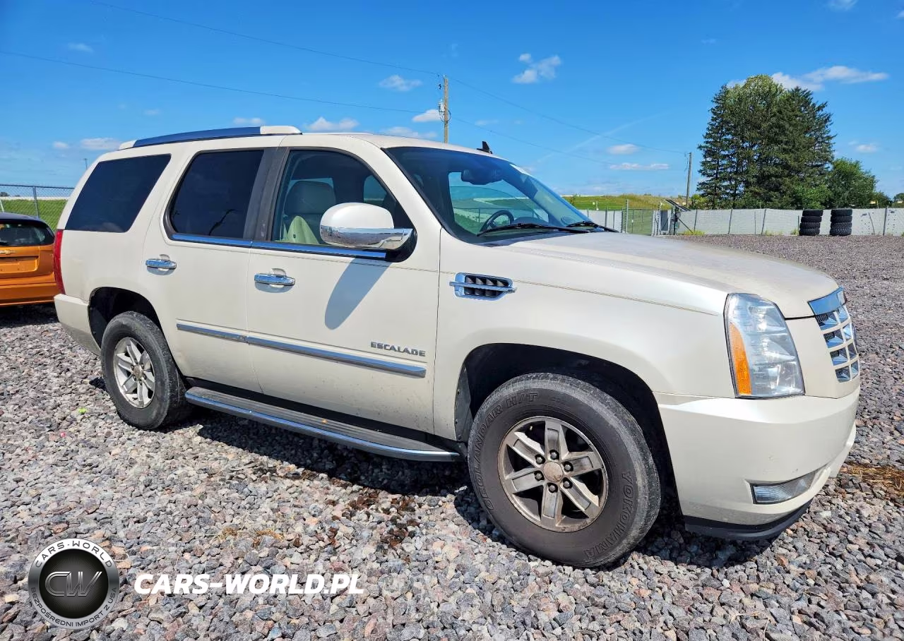 2010 Cadillac Escalade Luxury VIN:1GYUKBEF7AR212177 - 4