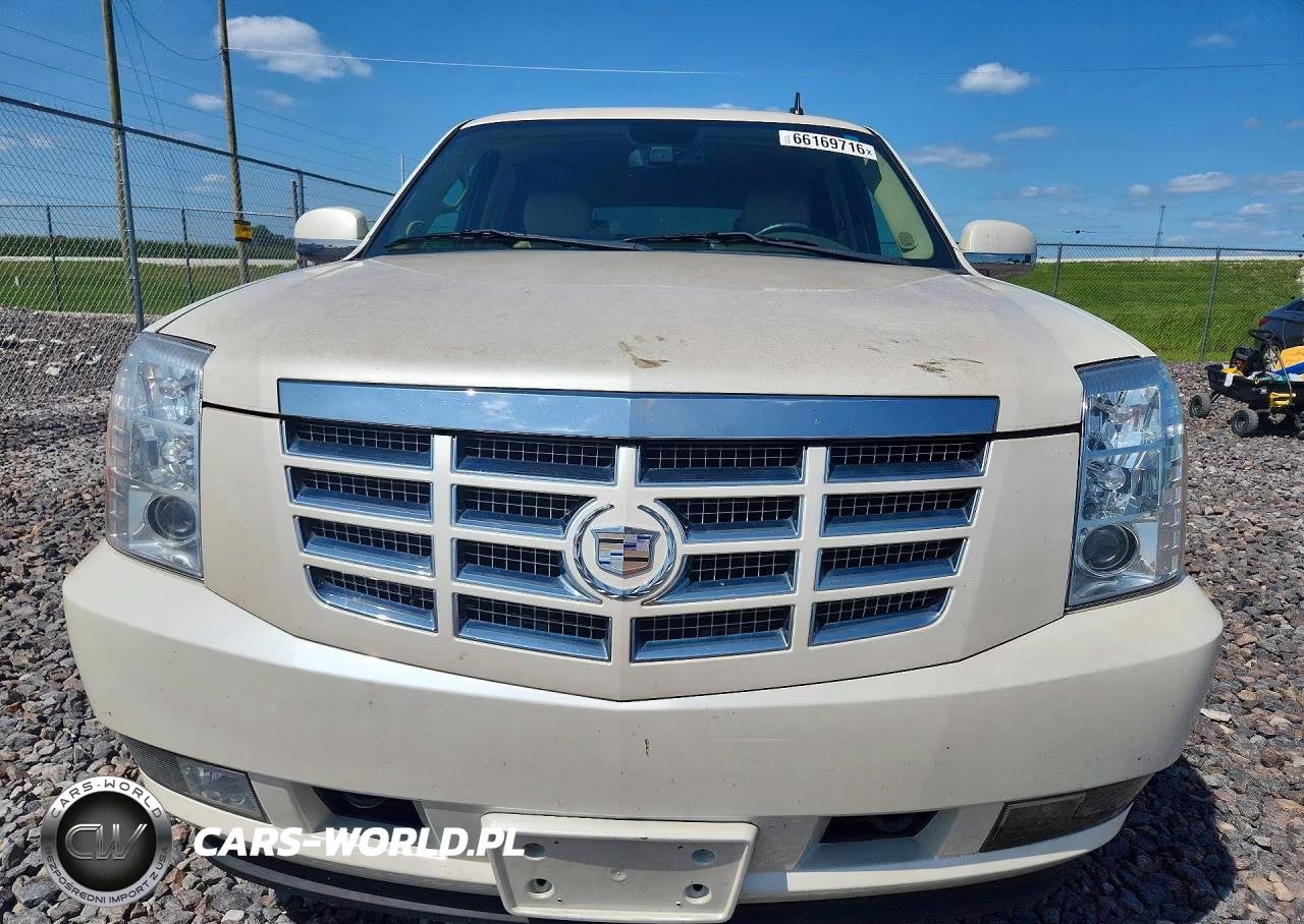 2010 Cadillac Escalade Luxury VIN:1GYUKBEF7AR212177 - 5