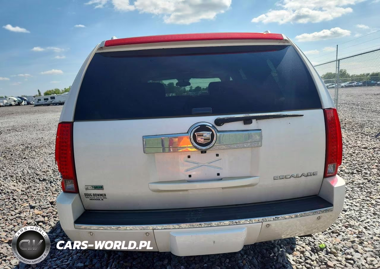 2010 Cadillac Escalade Luxury VIN:1GYUKBEF7AR212177 - 6