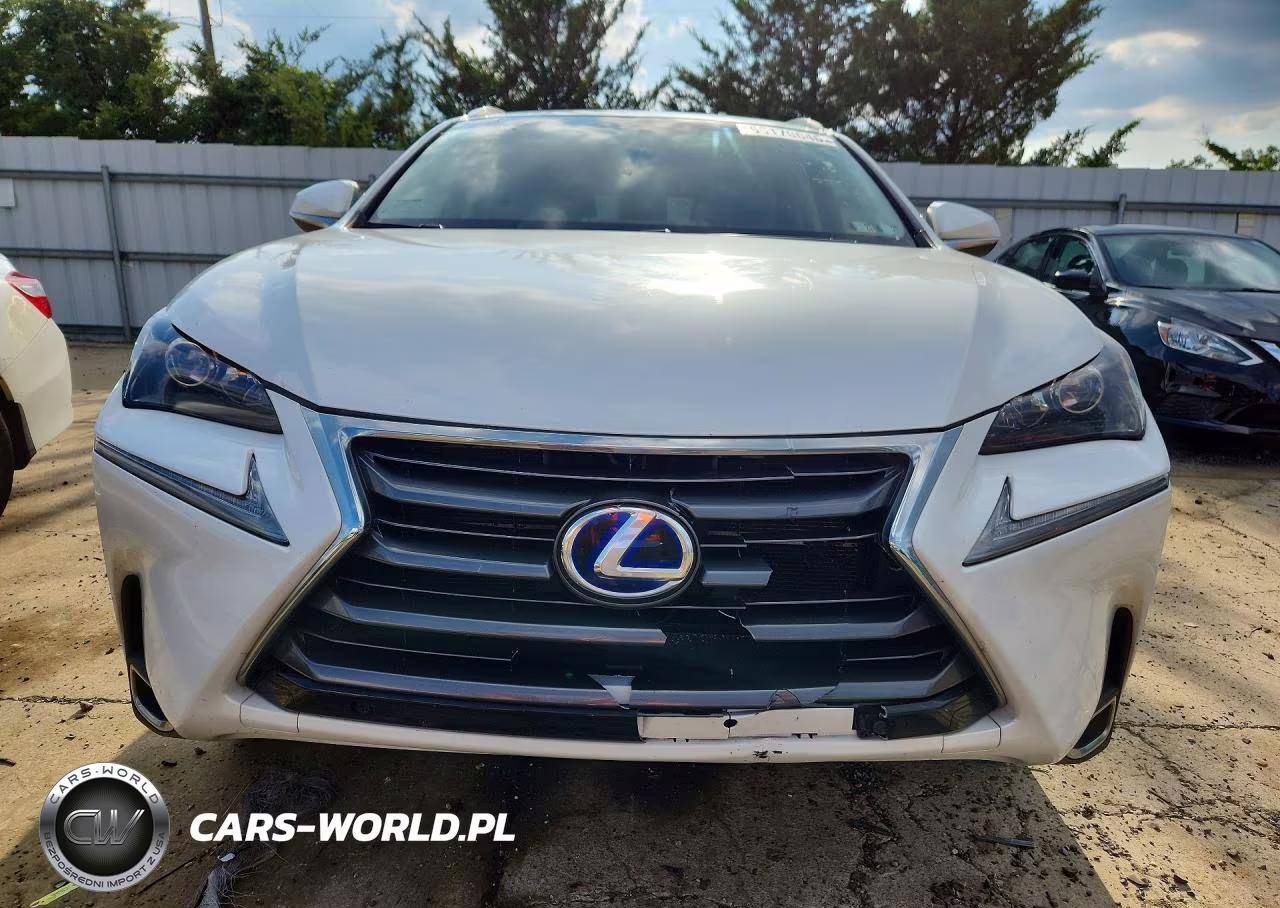 2017 Lexus Nx 300H VIN:JTJBJRBZ7H2069822 - 5