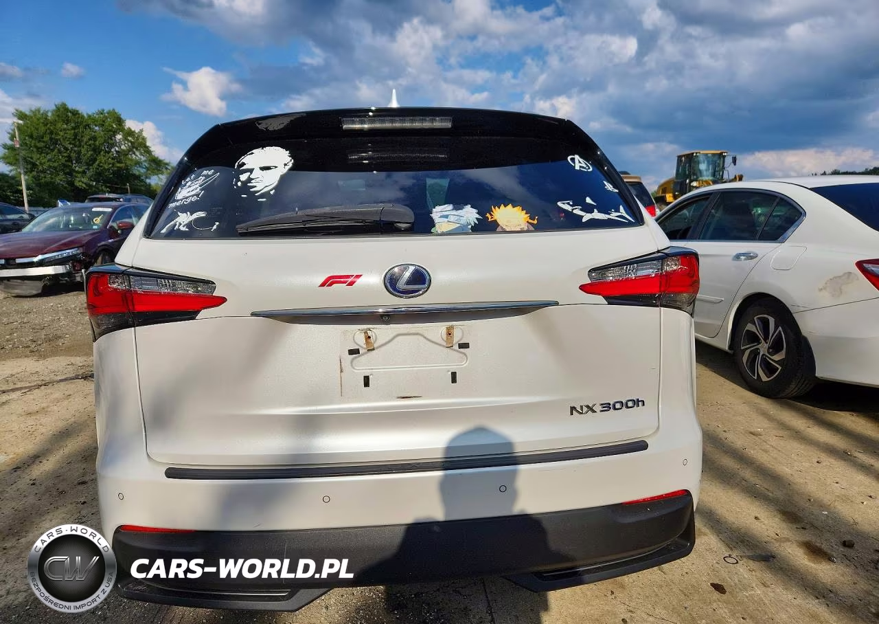 2017 Lexus Nx 300H VIN:JTJBJRBZ7H2069822 - 6