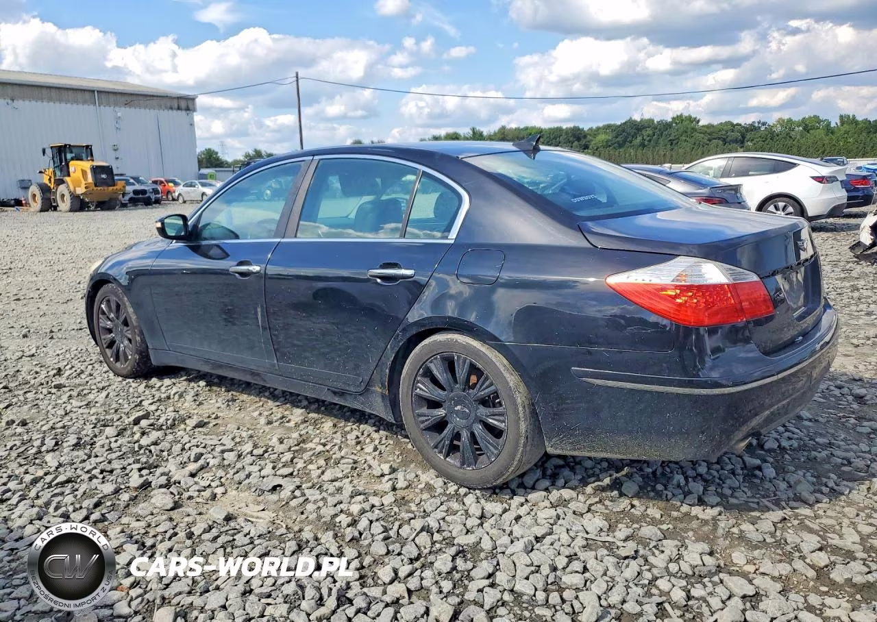 2009 Hyundai Genesis 3.8L VIN:KMHGC46E99U020118 - 2