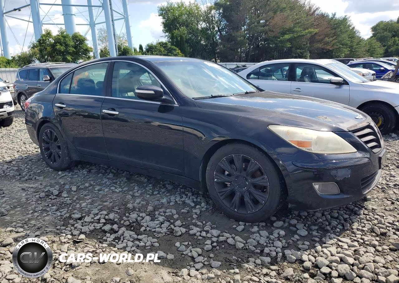 2009 Hyundai Genesis 3.8L VIN:KMHGC46E99U020118 - 4