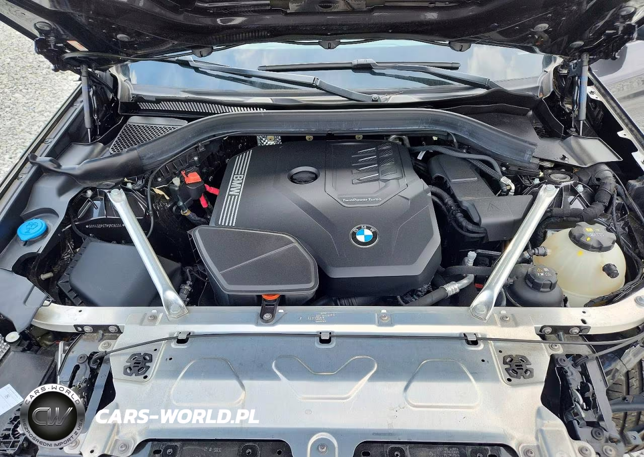 2023 BMW X3 Sdrive30I VIN:5UX43DP07P9R28334 - 12