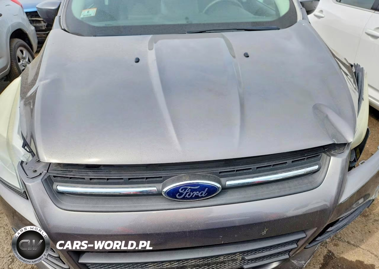 2013 Ford Escape Se VIN:1FMCU9GX5DUA82813 - 12