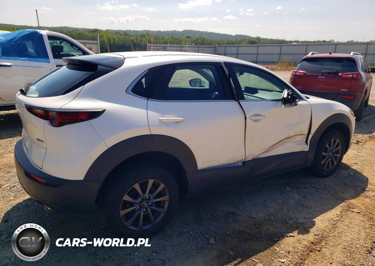 2021 Mazda Cx-30 VIN:3MVDMBAL9MM258464 - 3