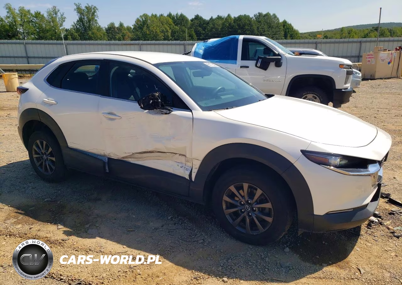 2021 Mazda Cx-30 VIN:3MVDMBAL9MM258464 - 4