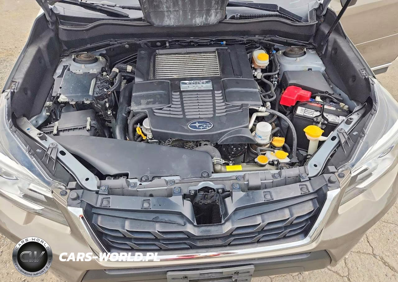 2017 Subaru Forester 2.0Xt Touring VIN:JF2SJGWC3HH503102 - 12