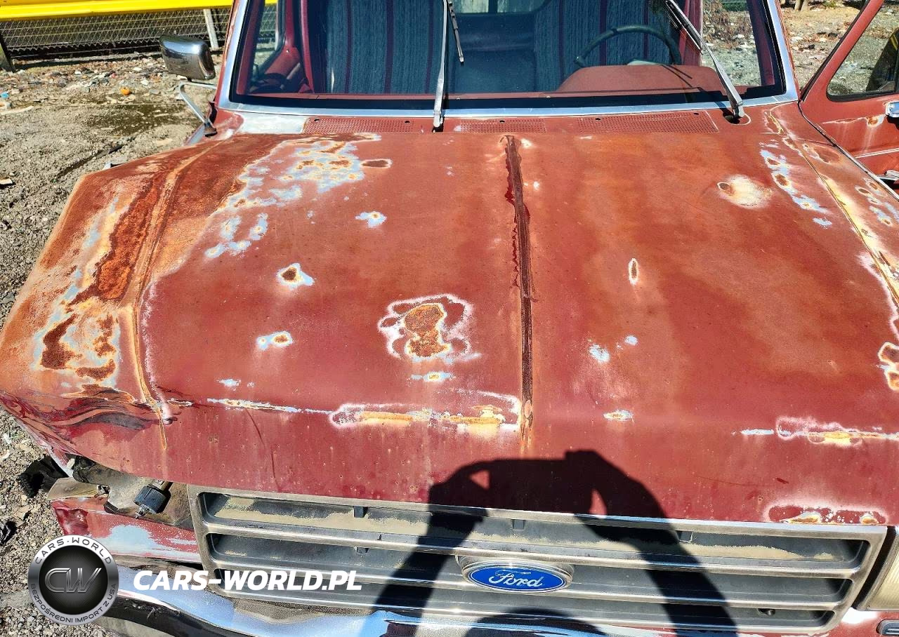 1990 Ford F150 VIN:1FTEF15N2LNA55877 - 11