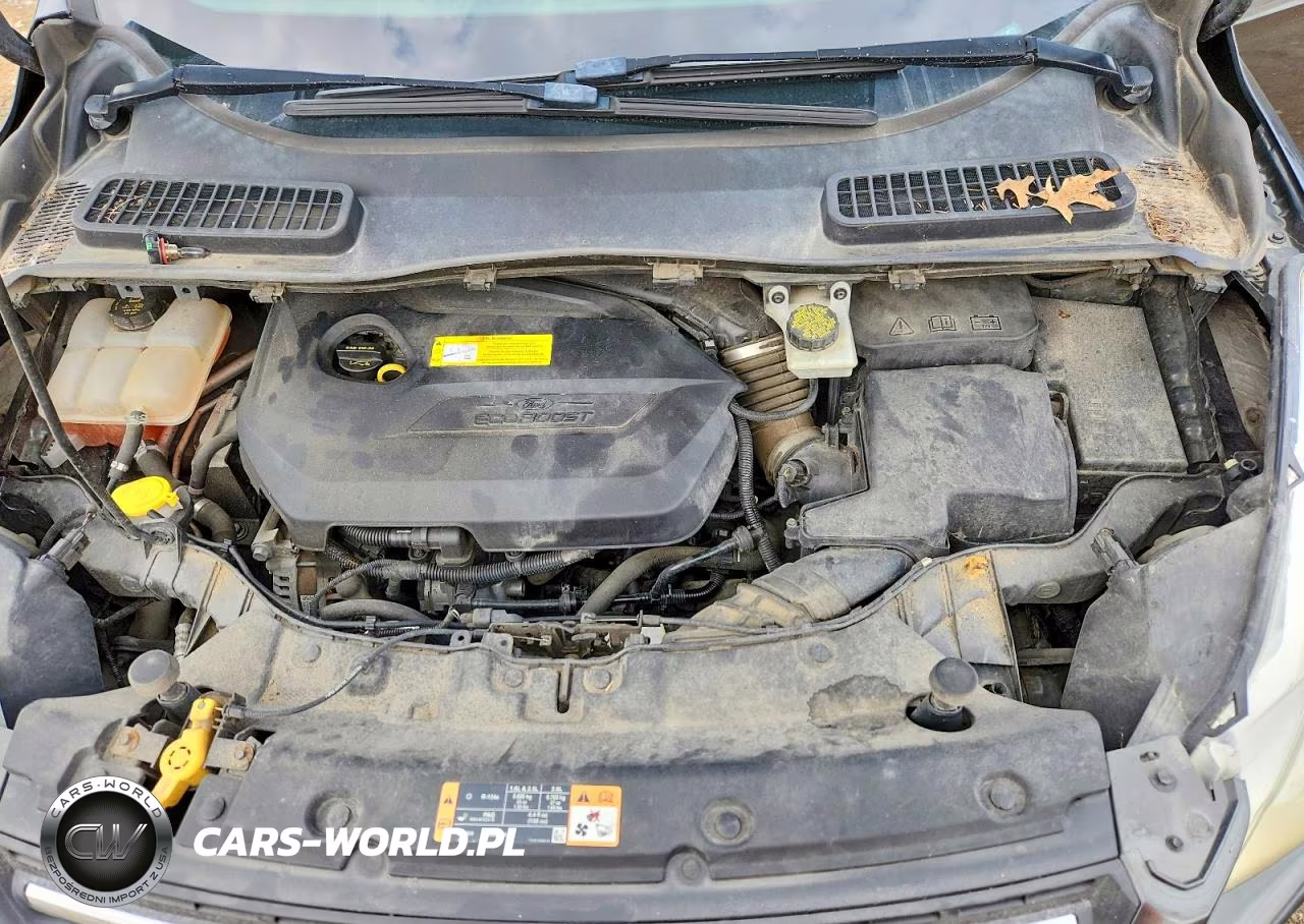 2016 Ford Escape Se VIN:1FMCU0GX4GUC56936 - 12