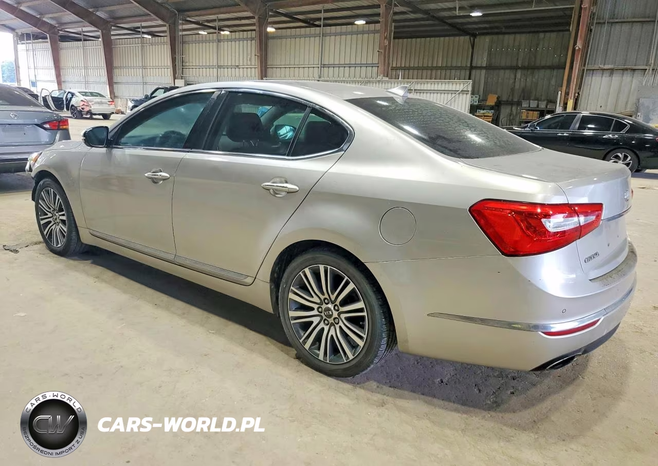 2014 Kia Cadenza Premium VIN:KNALN4D71E5126114 - 2