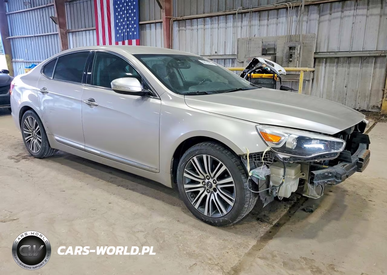 2014 Kia Cadenza Premium VIN:KNALN4D71E5126114 - 4