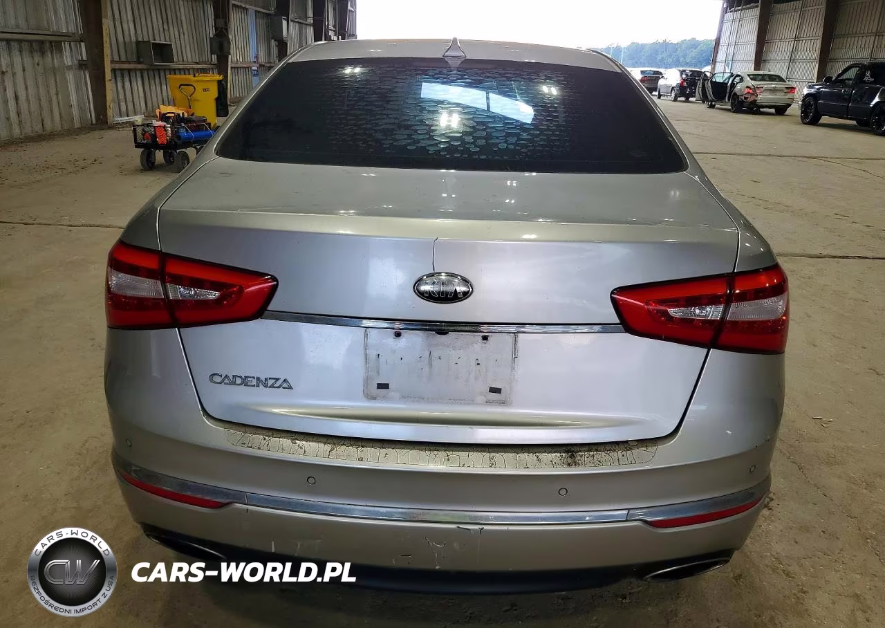 2014 Kia Cadenza Premium VIN:KNALN4D71E5126114 - 6