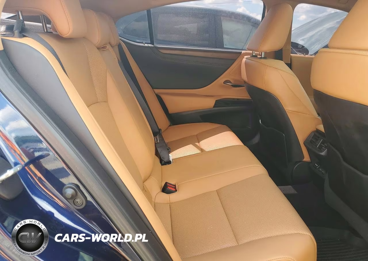 2022 Lexus Es 350 Base VIN:58ADZ1B14NU132976 - 10