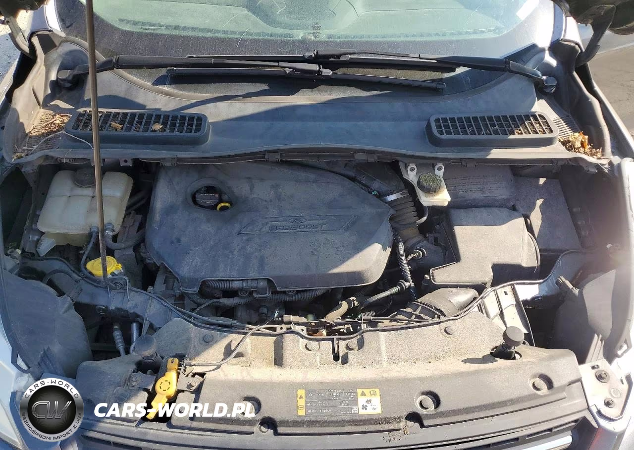 2014 Ford Escape Se VIN:1FMCU0GXXEUE24155 - 12