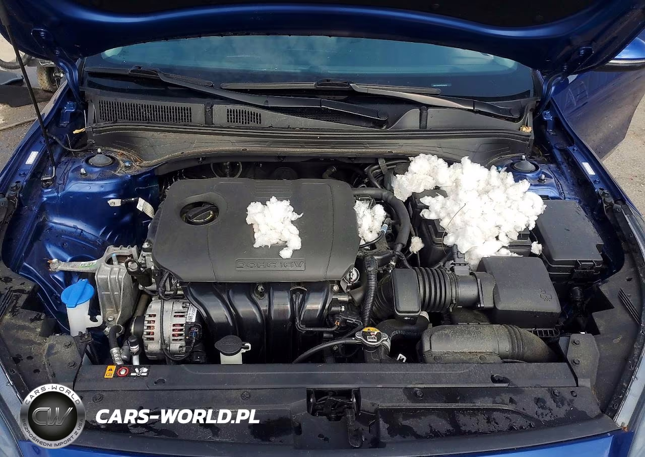 2023 Kia Forte Lxs VIN:3KPF24AD4PE639416 - 11