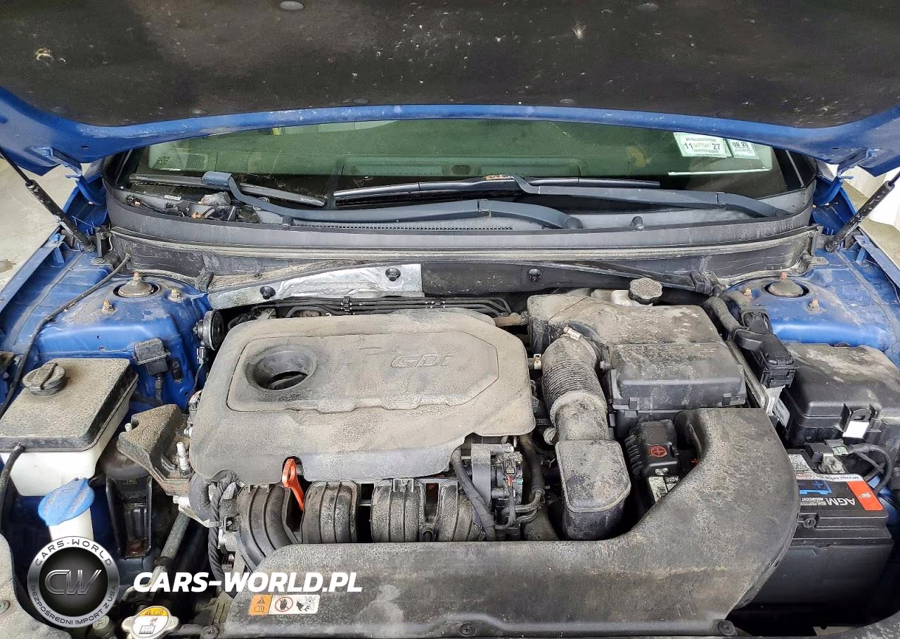 2015 Hyundai Sonata Se VIN:5NPE24AF5FH138929 - 11