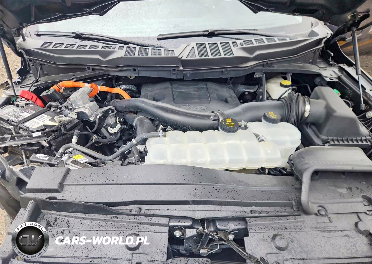 2023 Ford F150 Supercrew VIN:1FTFW1ED2PFD27842 - 11
