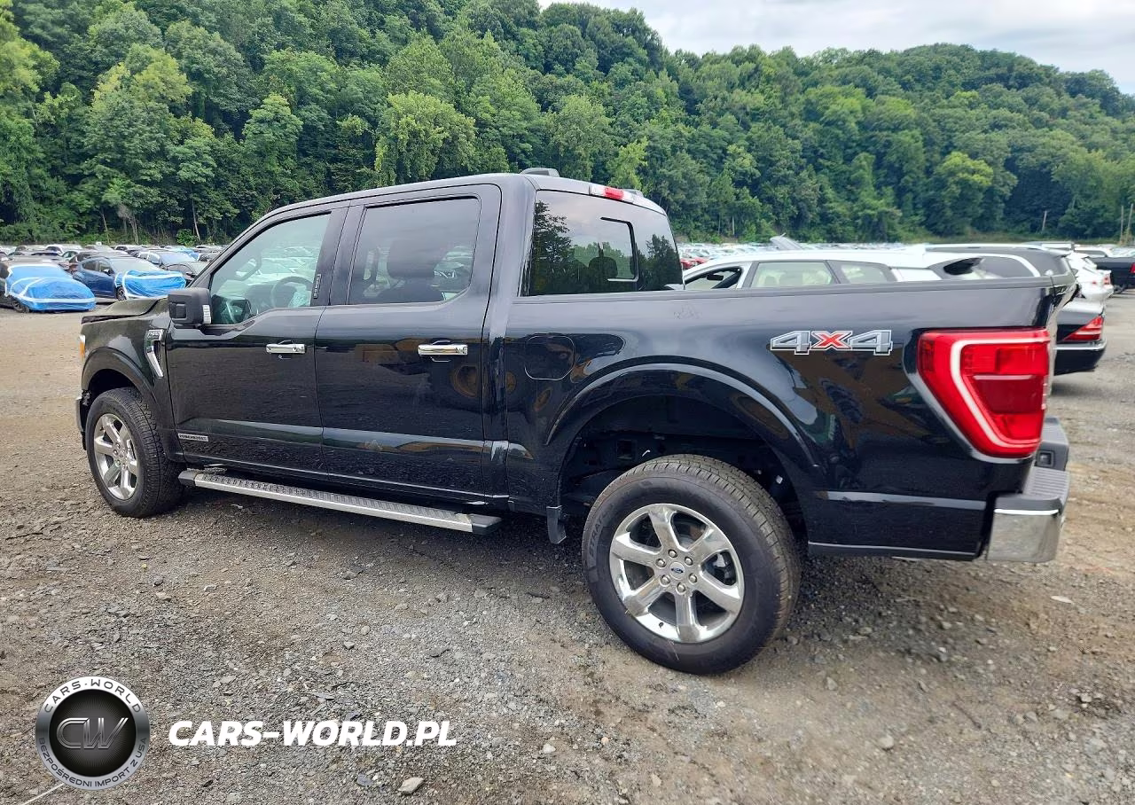 2023 Ford F150 Supercrew VIN:1FTFW1ED2PFD27842 - 2
