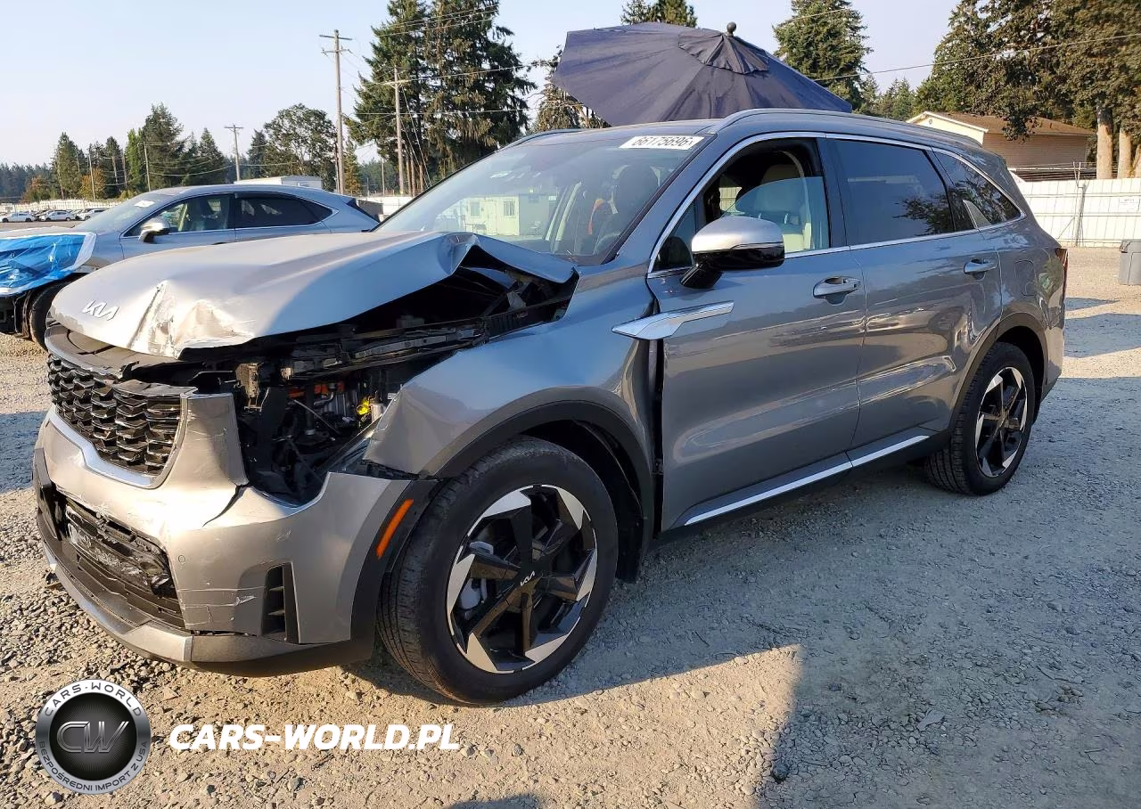 2025 Kia Sorento Ex VIN:KNDRJDJH5S5299314 - 1