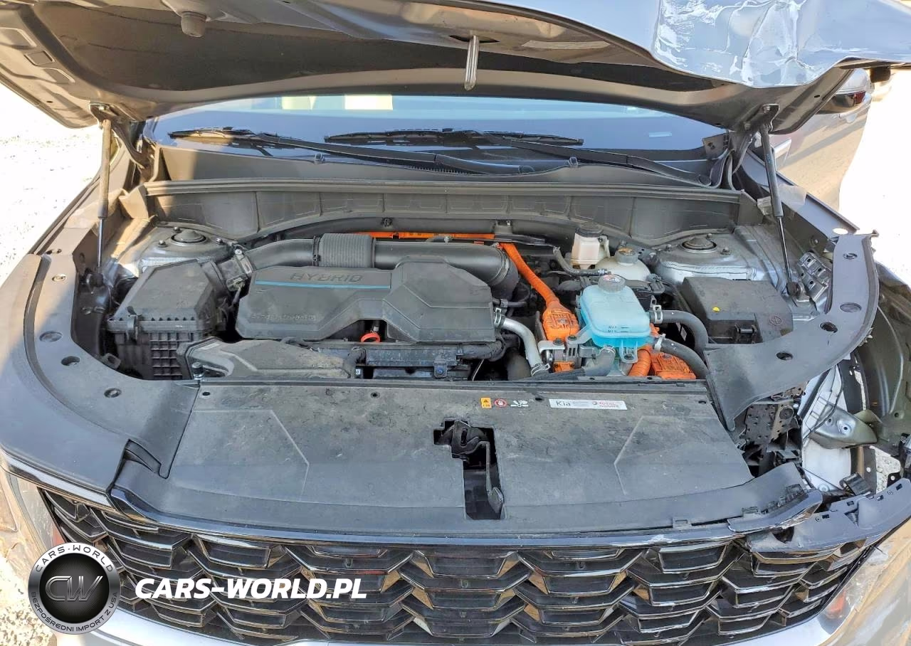 2025 Kia Sorento Ex VIN:KNDRJDJH5S5299314 - 12