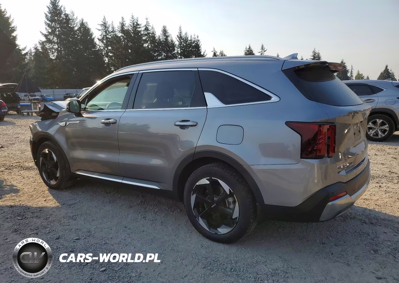 2025 Kia Sorento Ex VIN:KNDRJDJH5S5299314 - 2