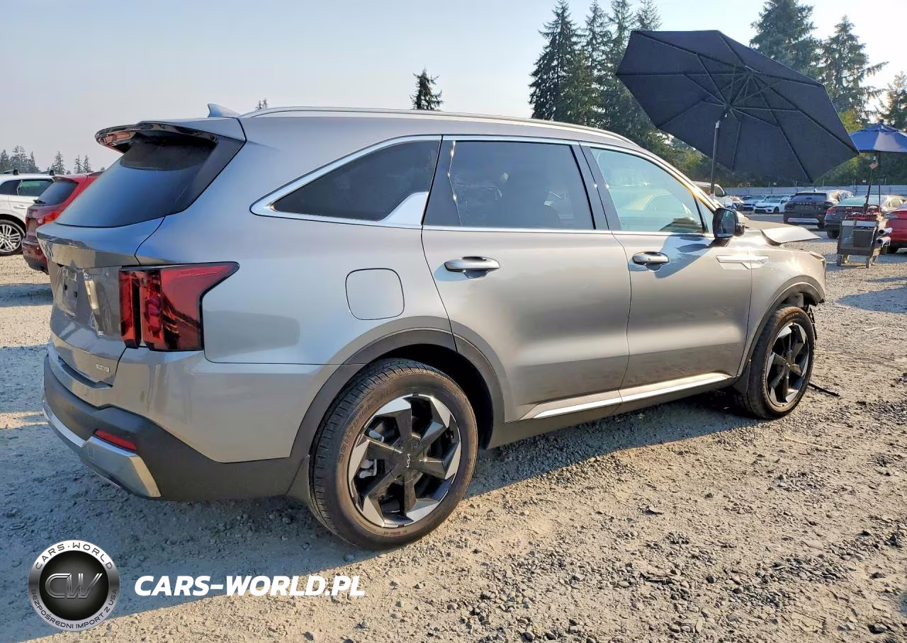 2025 Kia Sorento Ex VIN:KNDRJDJH5S5299314 - 3
