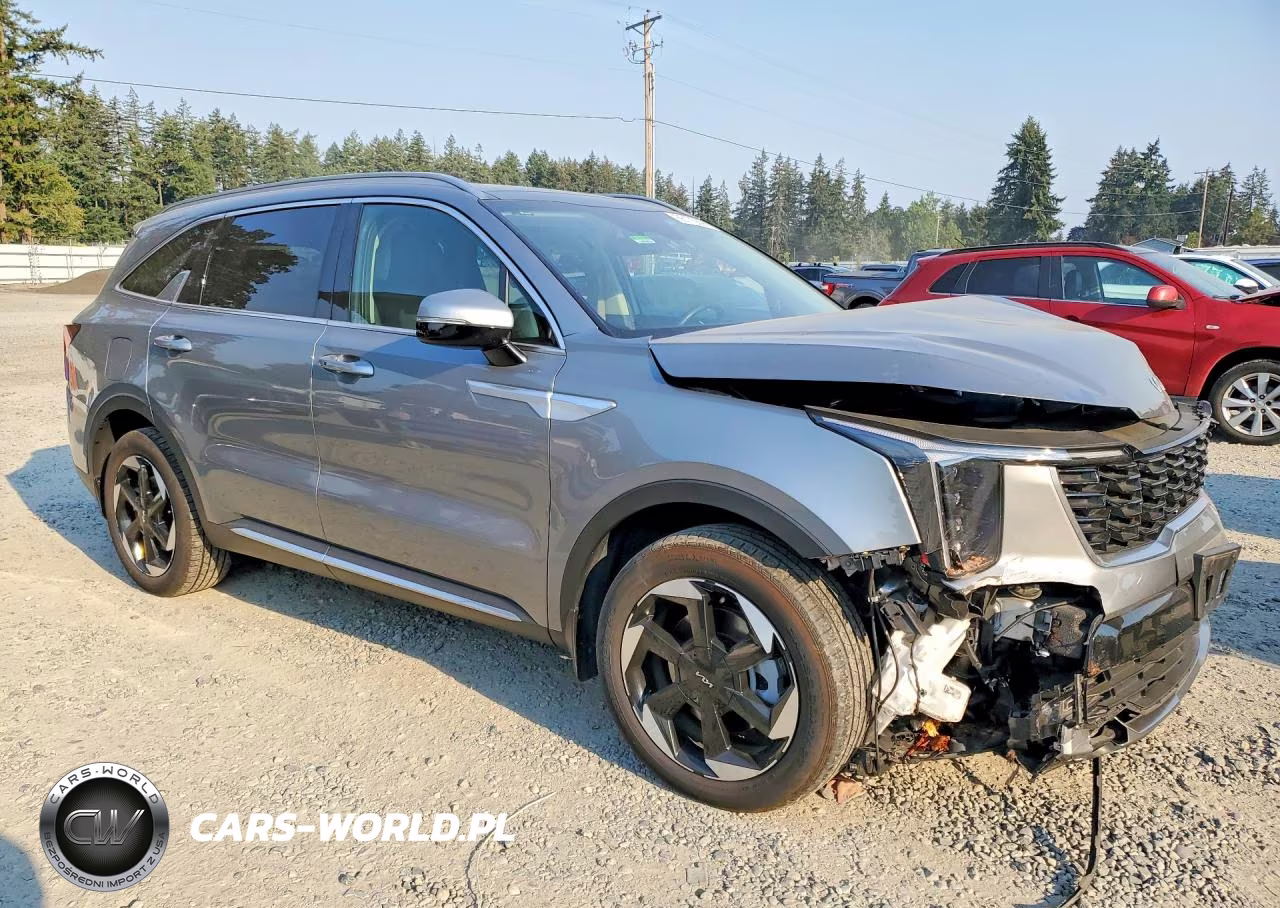 2025 Kia Sorento Ex VIN:KNDRJDJH5S5299314 - 4