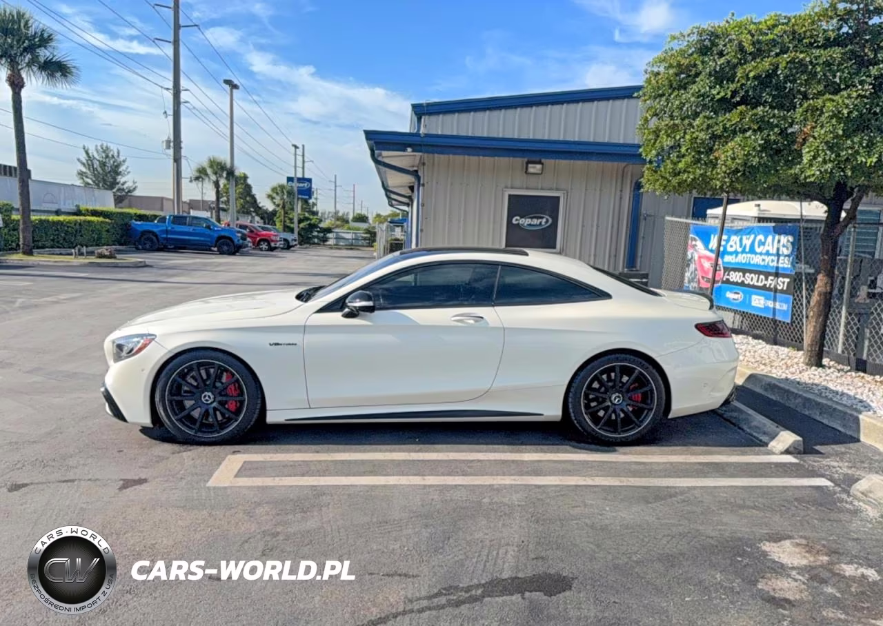 2019 Merz S 63 Amg VIN:WDDXJ8JB1KA039953 - 11
