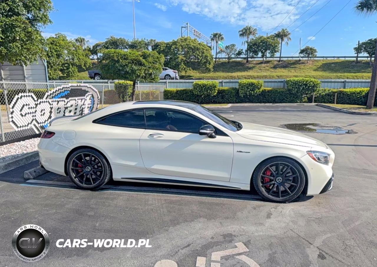 2019 Merz S 63 Amg VIN:WDDXJ8JB1KA039953 - 12