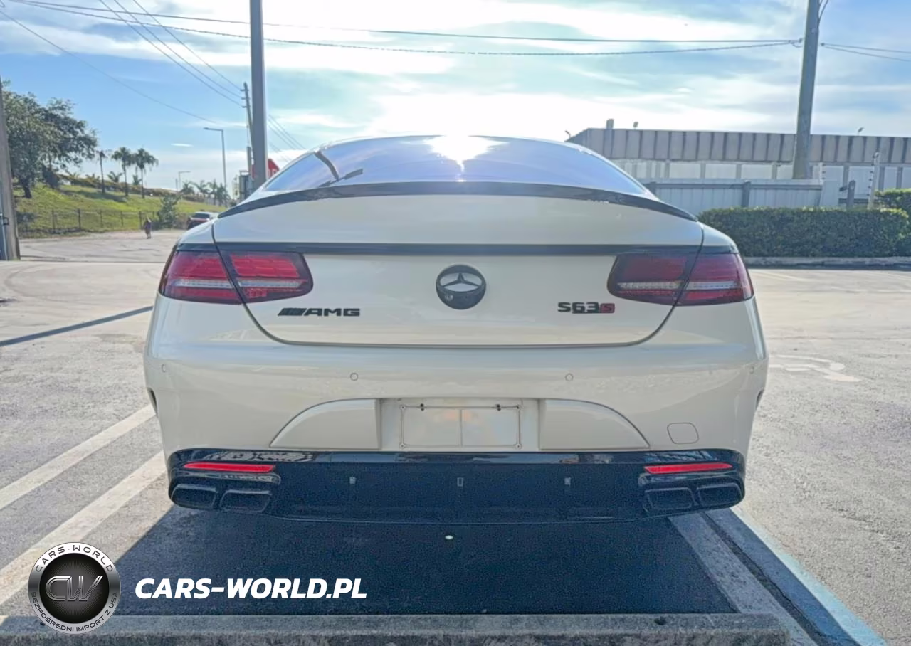 2019 Merz S 63 Amg VIN:WDDXJ8JB1KA039953 - 13