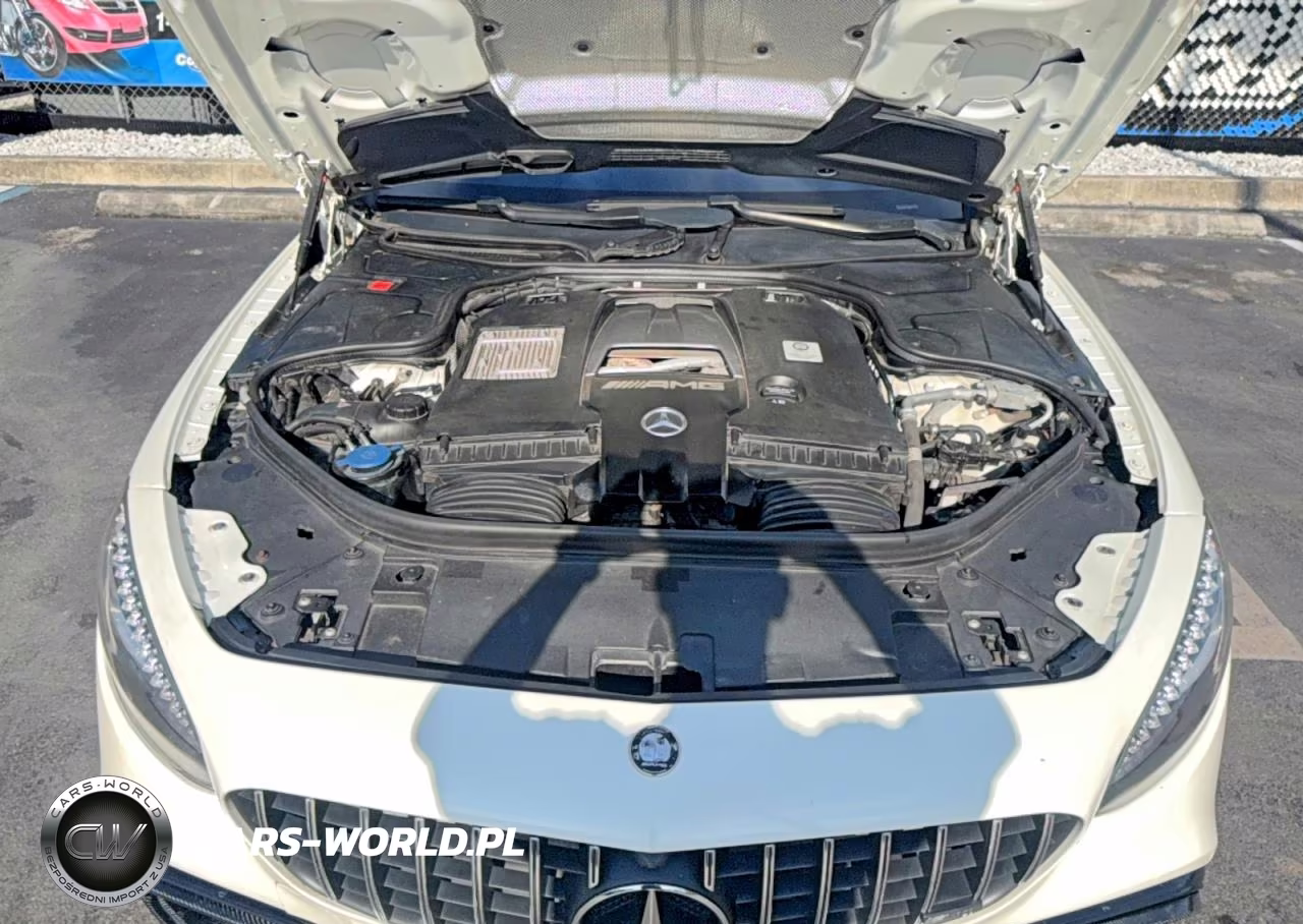 2019 Merz S 63 Amg VIN:WDDXJ8JB1KA039953 - 7