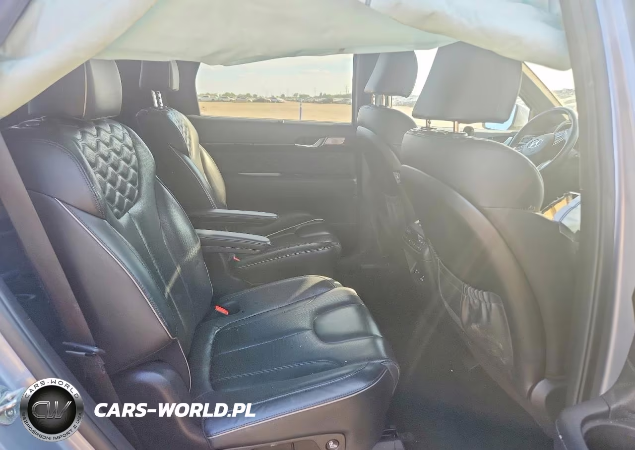 2020 Hyundai Palisade Limited VIN:KM8R5DHE2LU163452 - 10