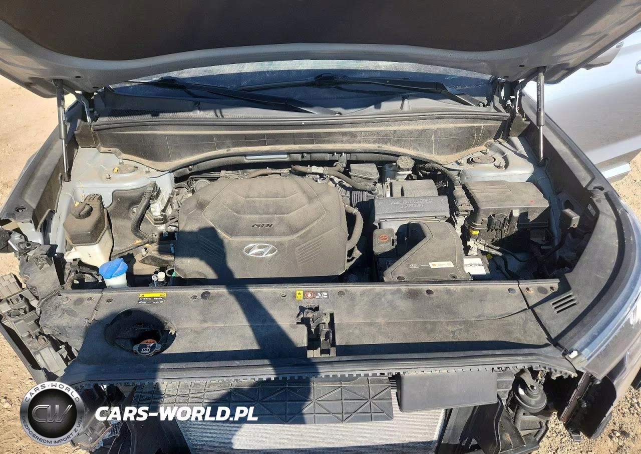 2020 Hyundai Palisade Limited VIN:KM8R5DHE2LU163452 - 11