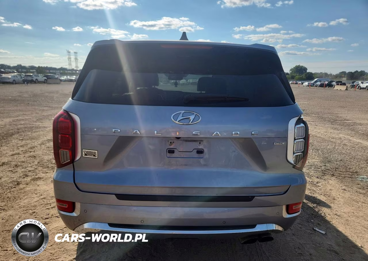 2020 Hyundai Palisade Limited VIN:KM8R5DHE2LU163452 - 6