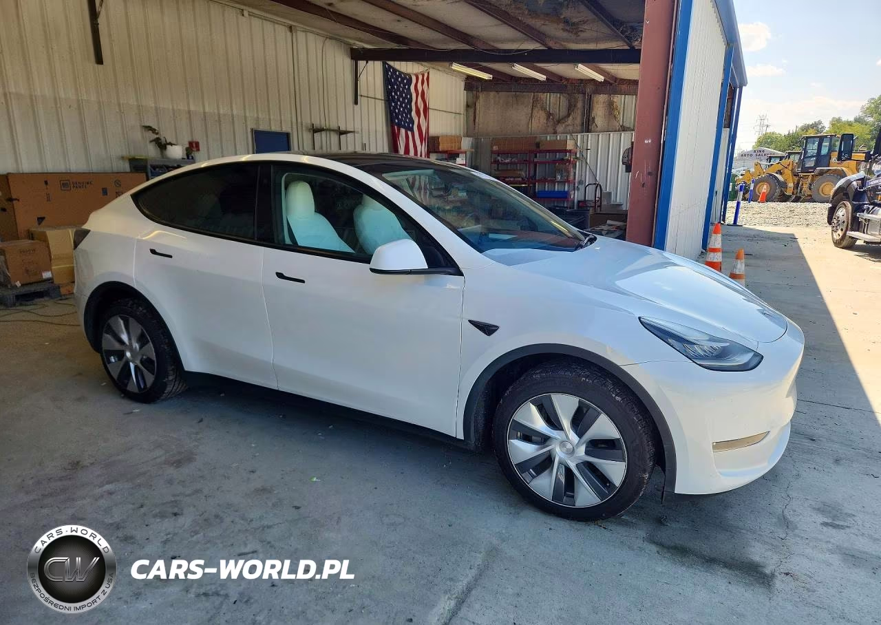 2023 Tesla Model Y VIN:7SAYGDEE9PA054208 - 4