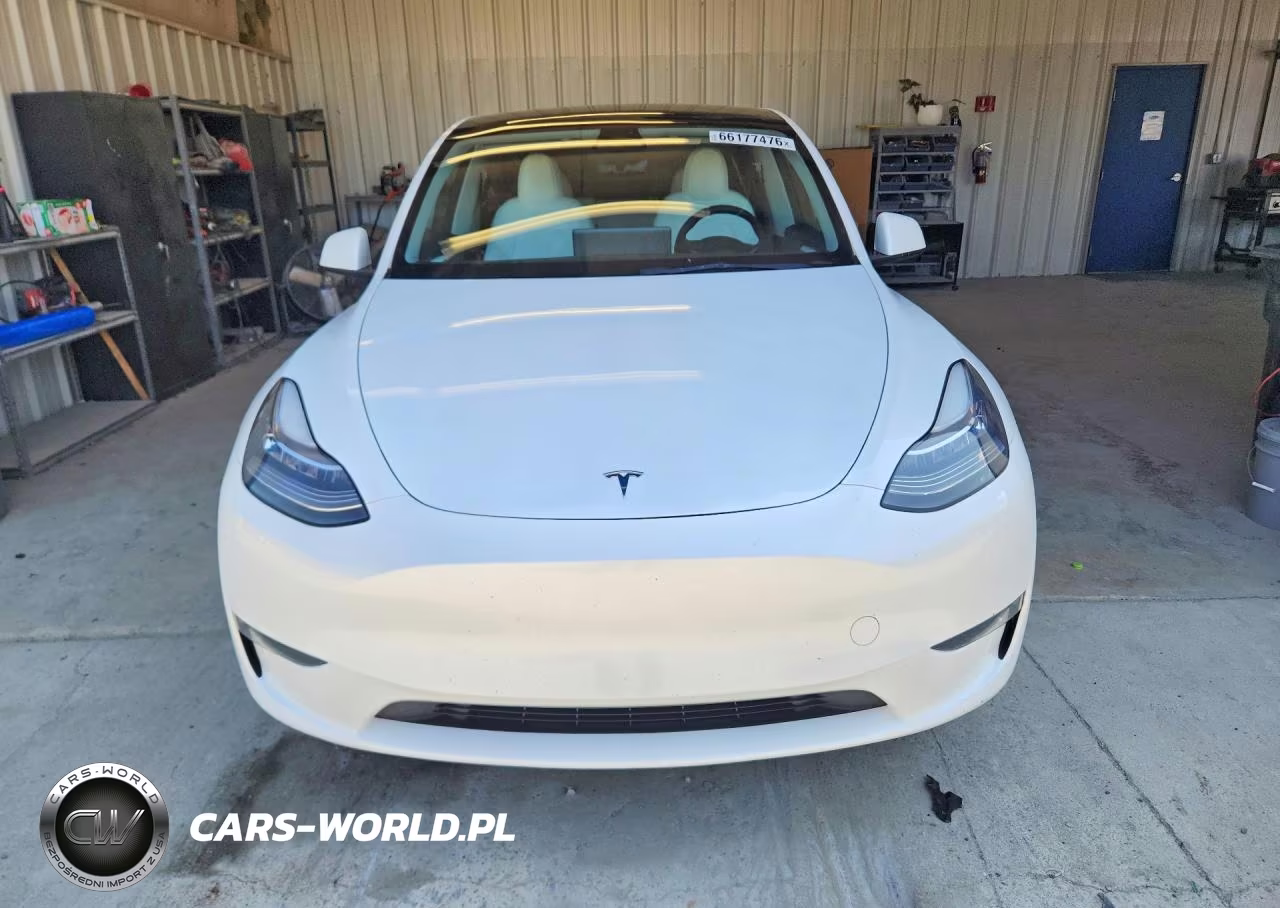2023 Tesla Model Y VIN:7SAYGDEE9PA054208 - 5