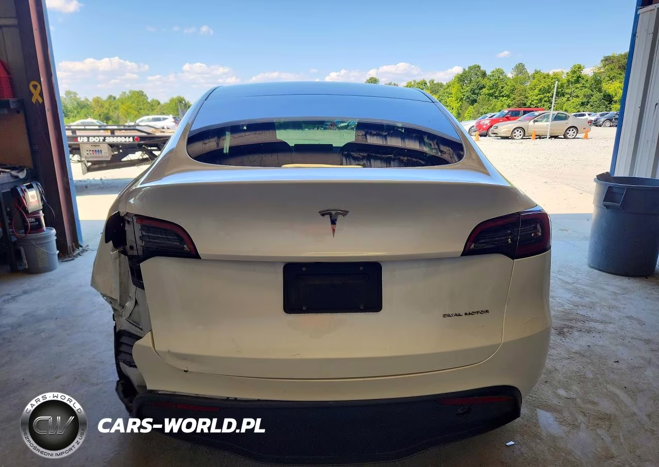 2023 Tesla Model Y VIN:7SAYGDEE9PA054208 - 6