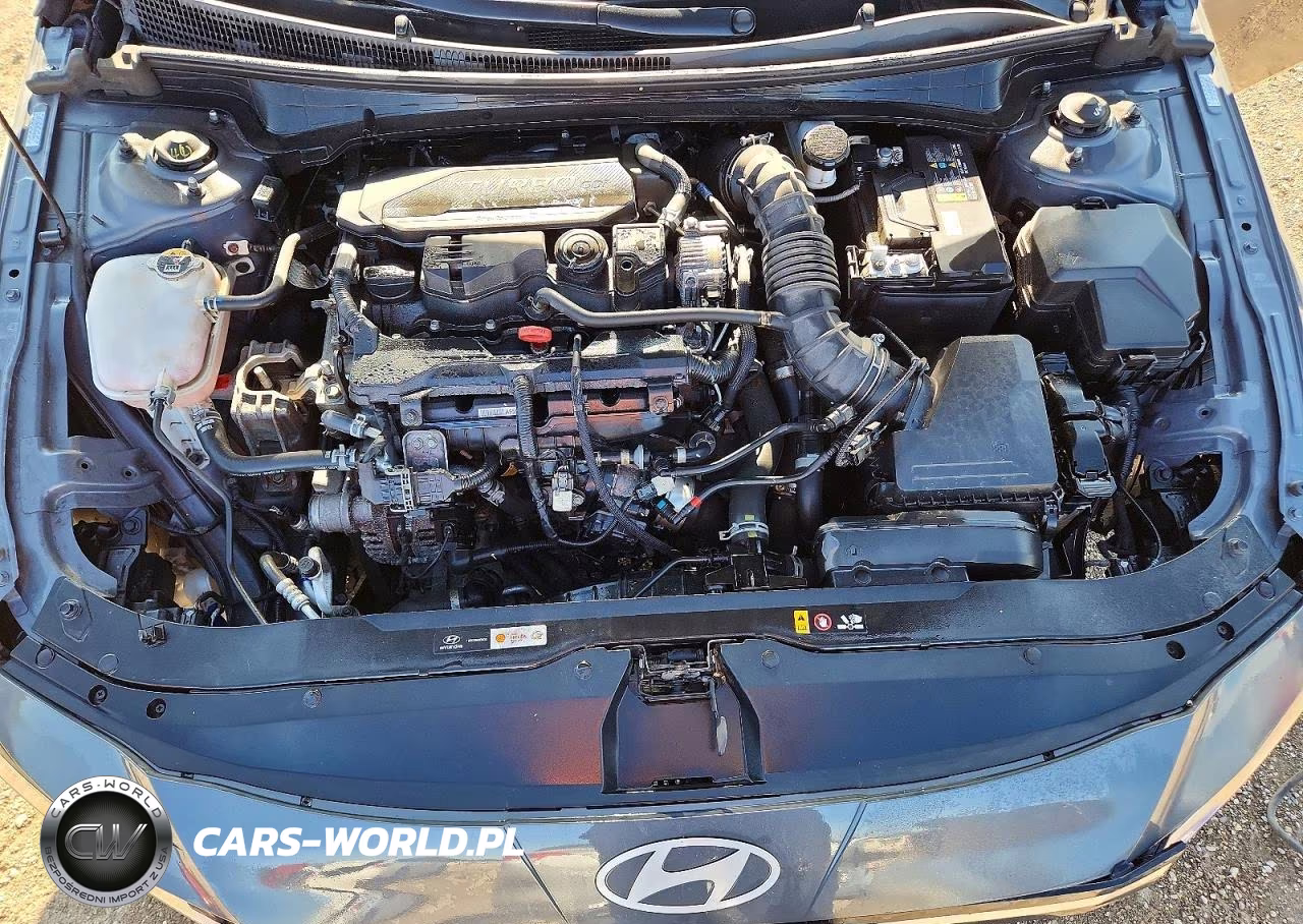 2025 Hyundai Elantra N Line VIN:KMHLR4DF6SU855169 - 11