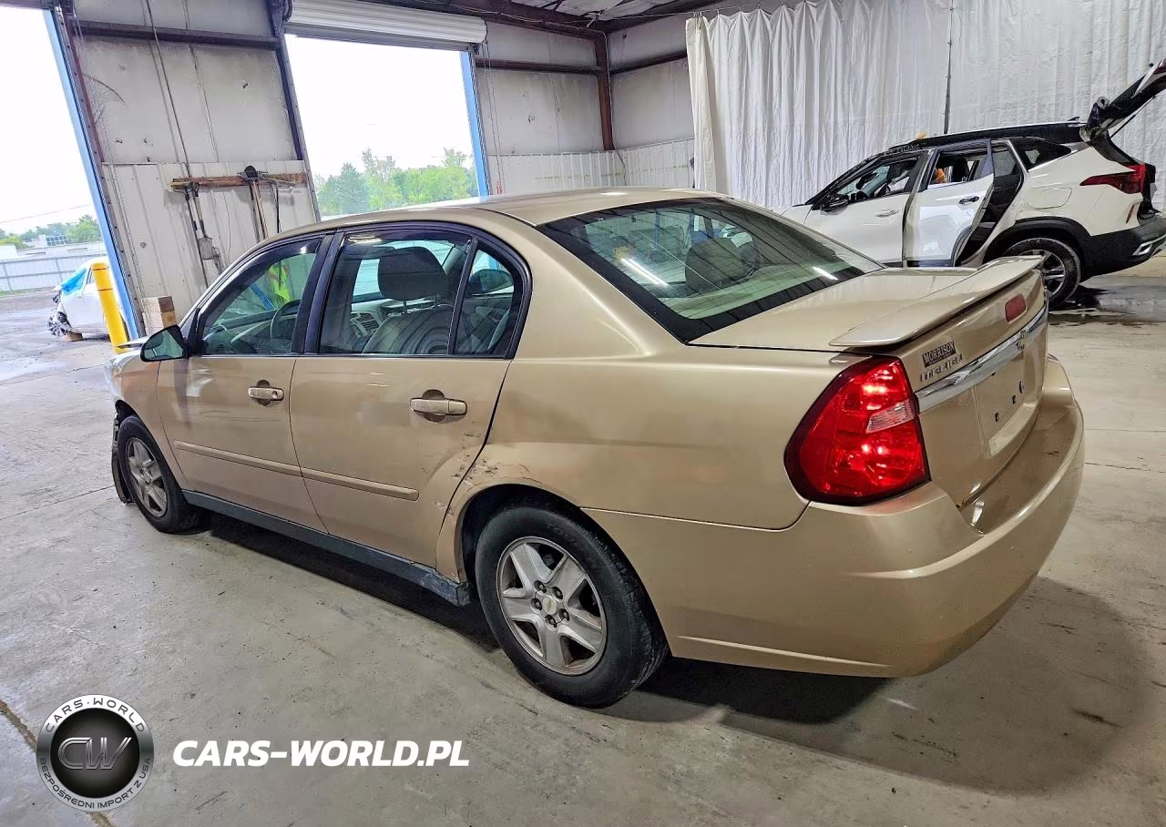 2005 Chevrolet Malibu Ls VIN:1G1ZT52815F306846 - 2