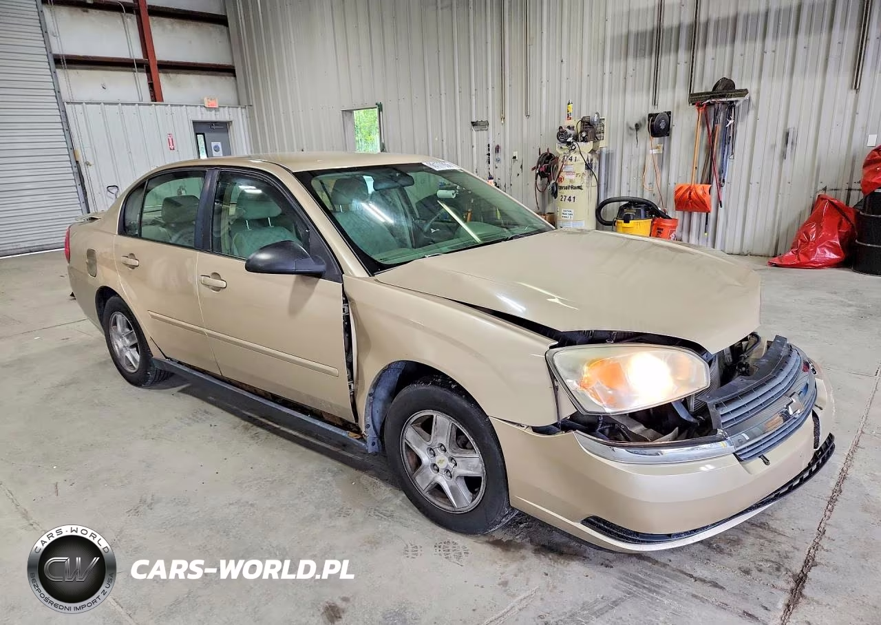 2005 Chevrolet Malibu Ls VIN:1G1ZT52815F306846 - 4