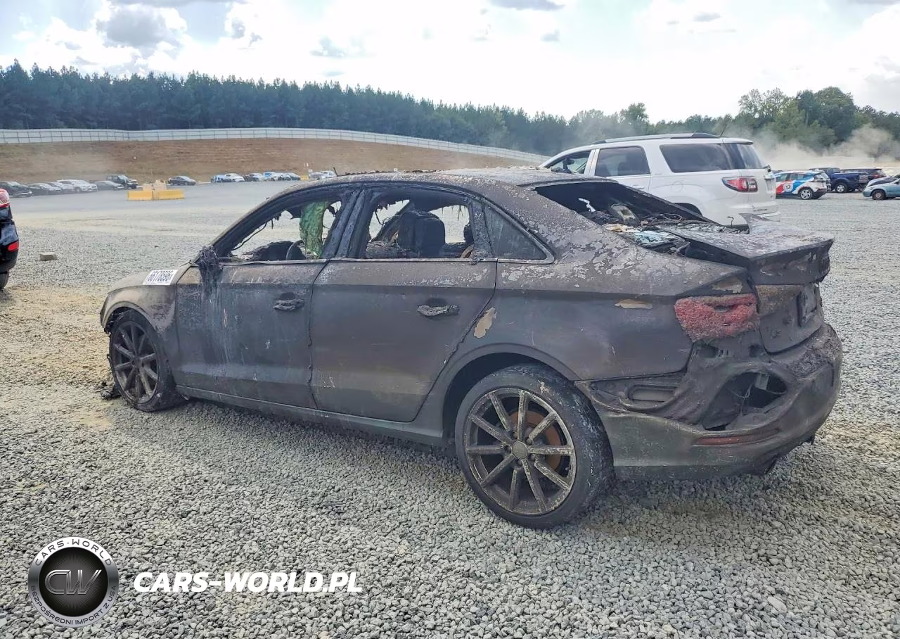 2015 Audi A3 Premium Plus VIN:WAUEFGFF9F1020711 - 2