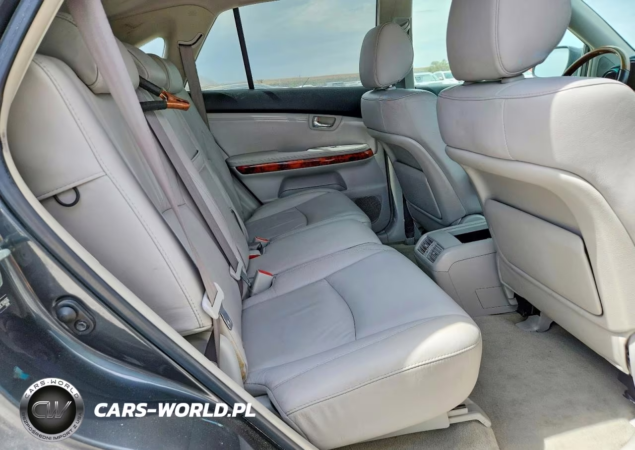 2009 Lexus Rx 350 Base VIN:2T2HK31U89C104606 - 10