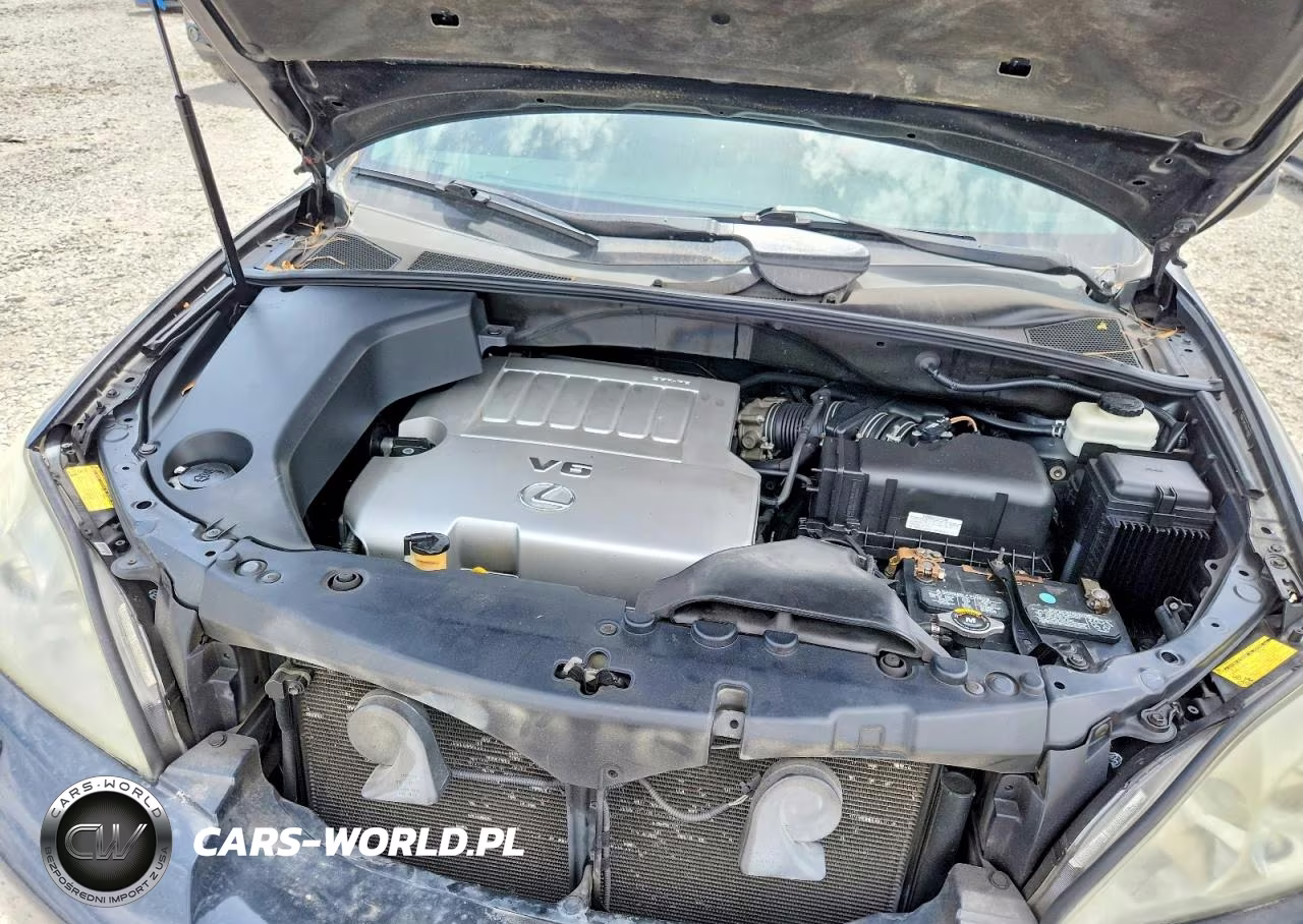 2009 Lexus Rx 350 Base VIN:2T2HK31U89C104606 - 11