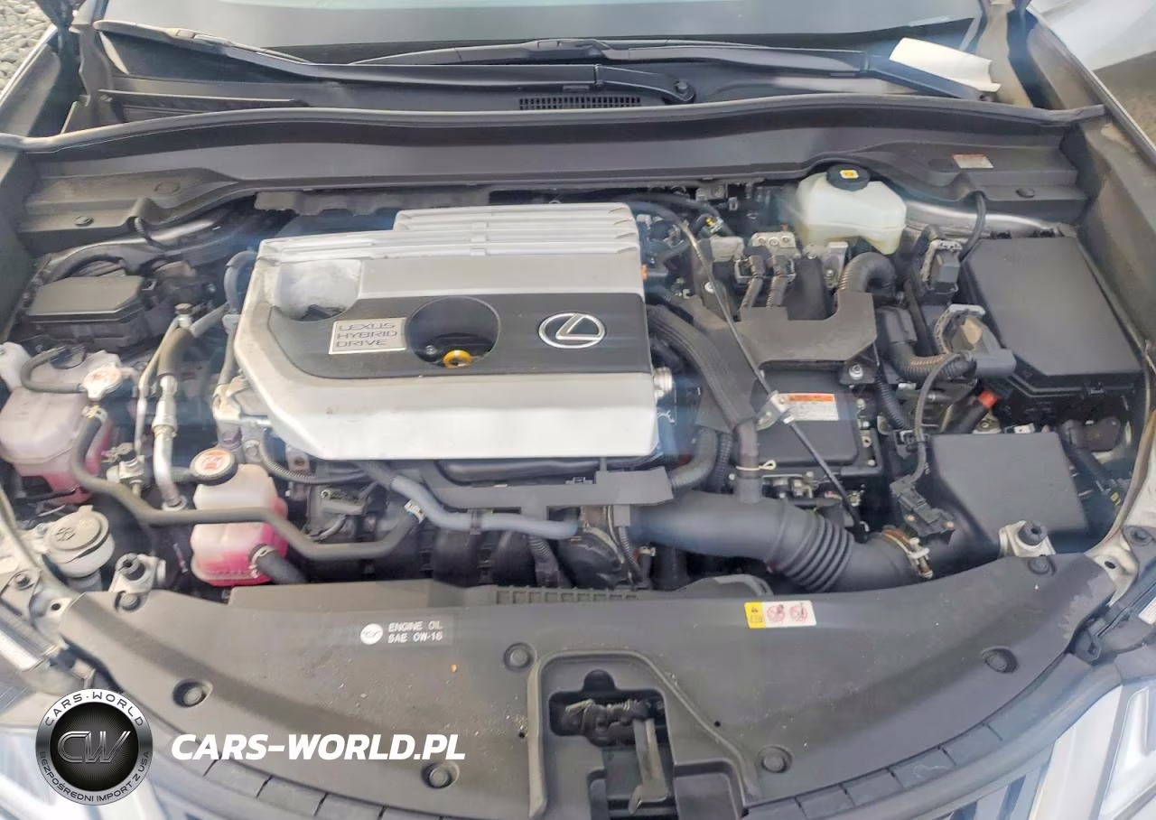 2021 Lexus Ux 250H VIN:JTHP9JBH5M2043058 - 11