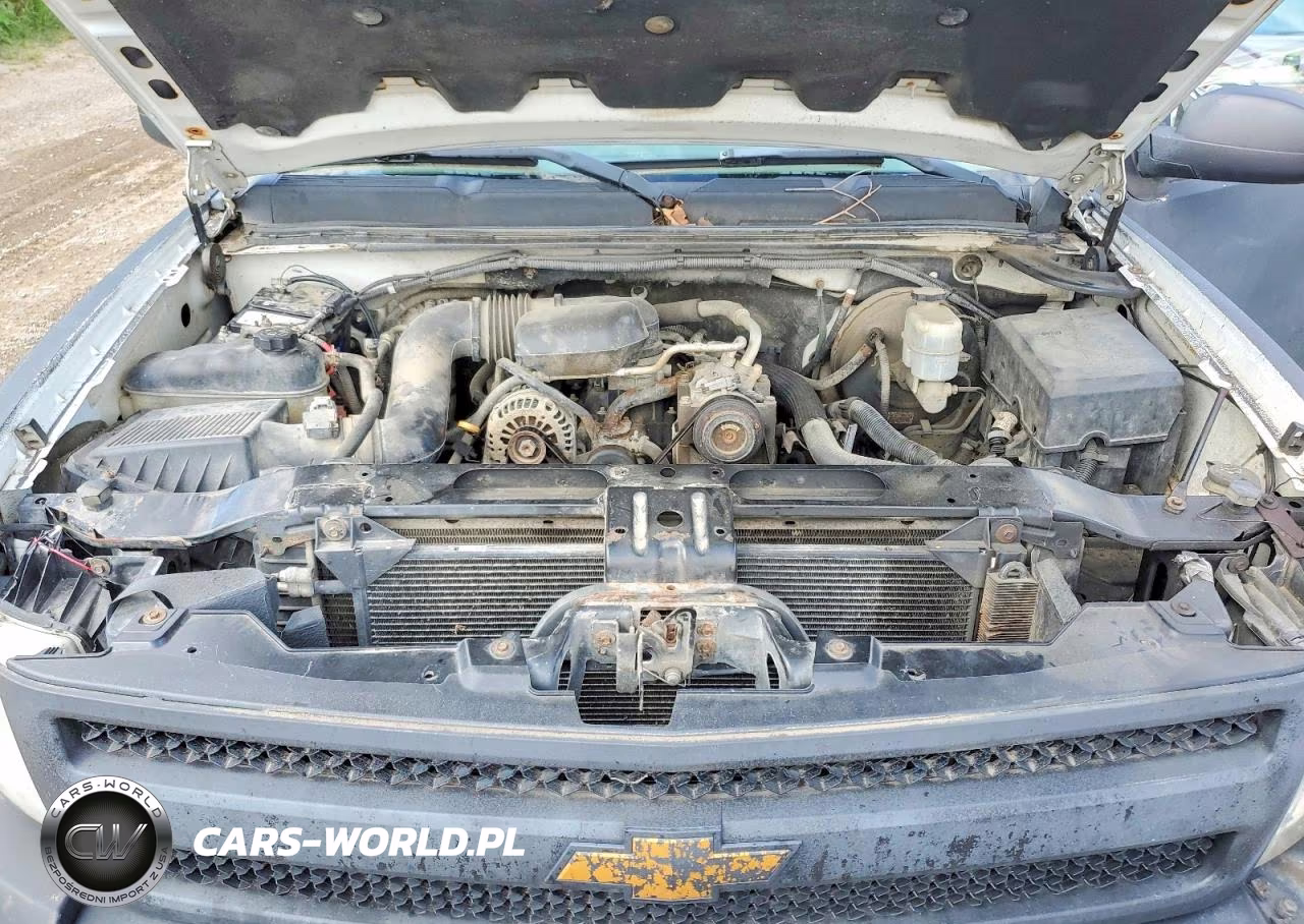 2011 Chevrolet Silverado C1500 VIN:1GCNCPEX9BZ391983 - 11