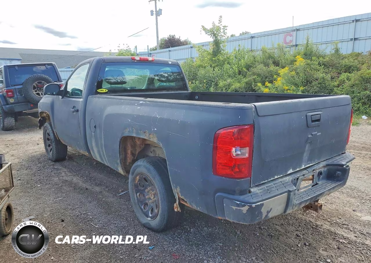 2011 Chevrolet Silverado C1500 VIN:1GCNCPEX9BZ391983 - 2