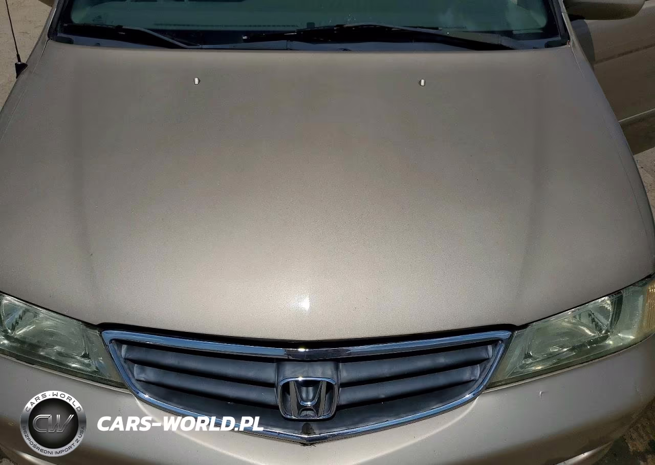 2002 Honda Odyssey Ex VIN:2HKRL18622H526228 - 12