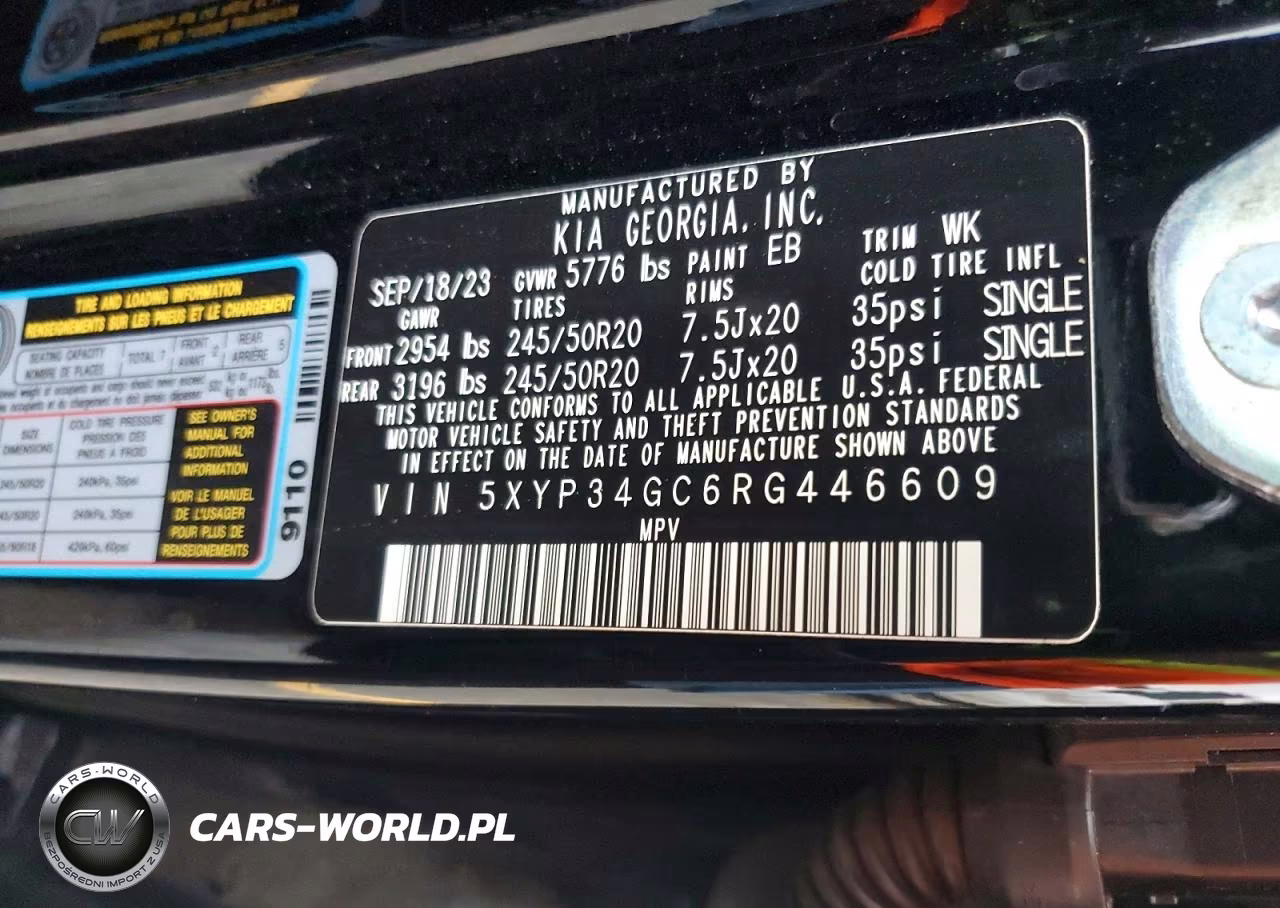 2024 Kia Telluride Ex VIN:5XYP34GC6RG446609 - 13